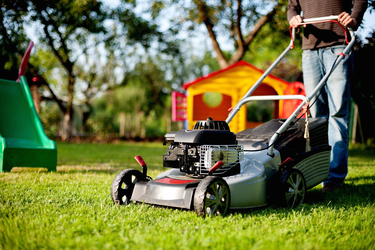 Tree removal Phoenix AZ